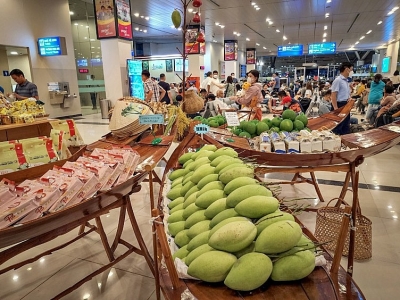 Đồng Tháp: Sẵn sàng cho Lễ hội xoài năm 2023