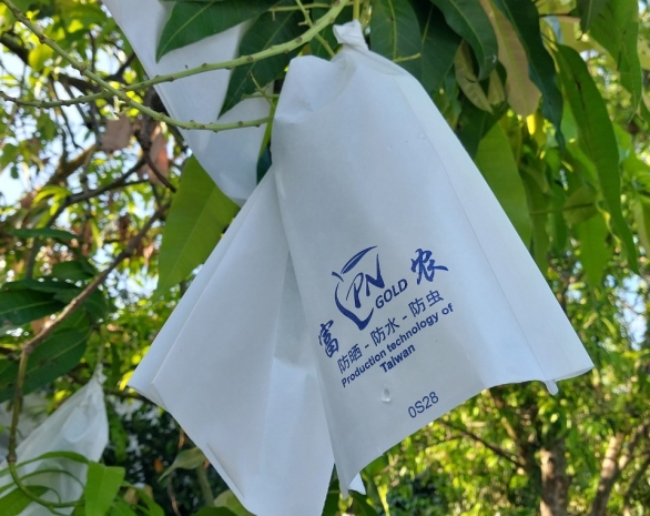 THỊNH PHÁT PACKAGING
