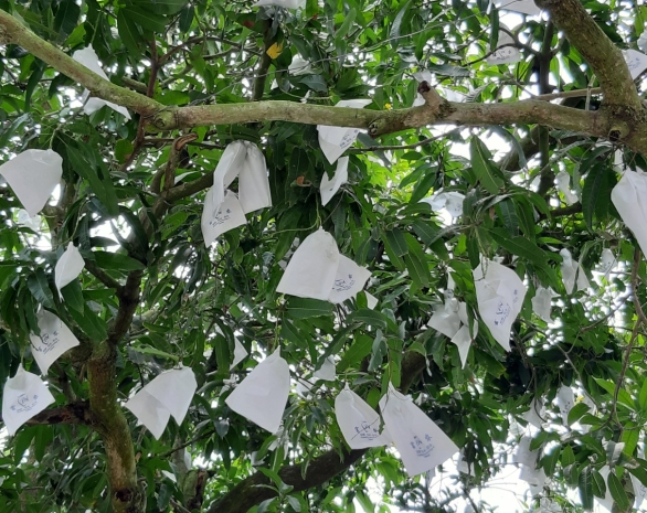 THỊNH PHÁT PACKAGING